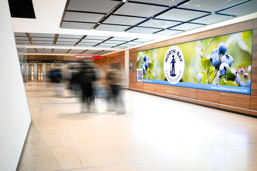 Landscapeflächen XL Ankommergang Nord & Süd, BER